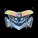 이상 · 미믹